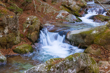 Fototapeta premium 河原の大きな石の間を流れる清らかな川