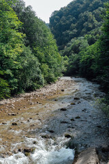 beautiful landscape fast mountain river and green forest