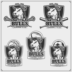 Football, baseball, lacrosse, basketball and soccer logos and labels. Sport club emblems with bull. Print design for t-shirt.
