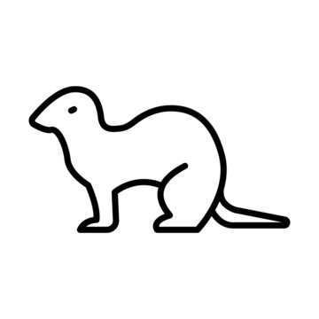 Ferret Outline Icon Animal Vector