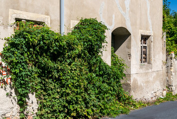 Fototapeta na wymiar Hauseingang mit Efeu verwachsen, alte Mauerwand