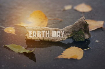 On the asphalt among the foliage, in a puddle, there is a branch on which it is written - earth day