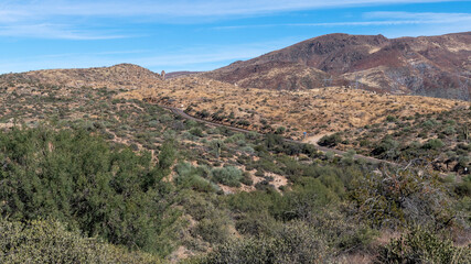 Fototapeta na wymiar The beautiful Sonora desert in Arizona