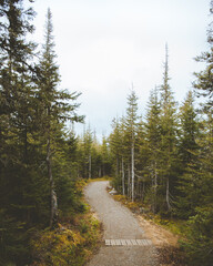 Path to Lac aux americains