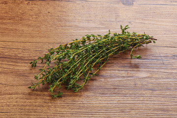 Fresh green Thyme branch heap