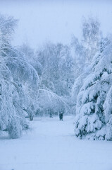 heavy snowfall in park at day