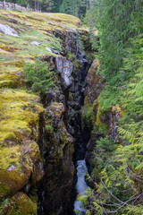 Box Canyon Wonderland Trail in Mount Rainier National Park in Washington State during Summer.
