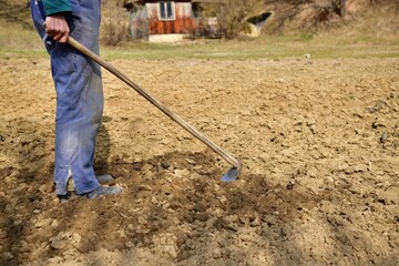 A farmer in a field hoeing the soil by hand before planting the seeds in the spring