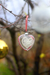 Bare tree in the garden, decorated with colorful Christmas ornaments. Selective focus.