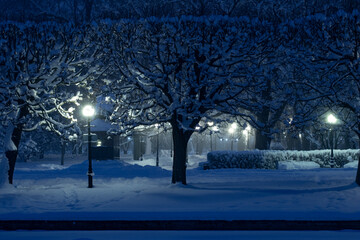 A snowy city park with trees, illuminated street lights, snow and copy space in winter evening 