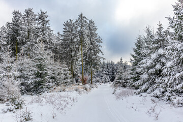 Obraz premium Erste Winterwanderung auf dem Rennsteig bei schönstem Sonnenuntergang - Deutschland