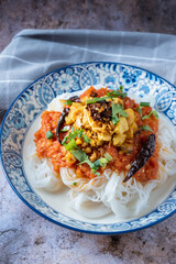 Rice noodles with tomato sauce and chicken