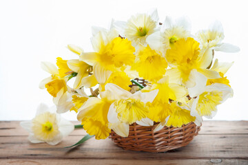 Obraz na płótnie Canvas daffodils in weaved basket at white background