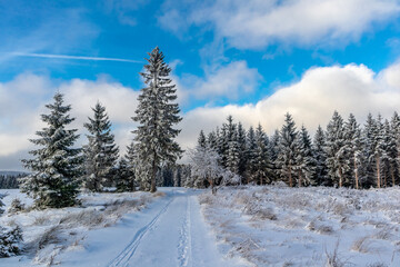 Erste Winterwanderung auf dem Rennsteig bei schönstem Sonnenuntergang - Deutschland