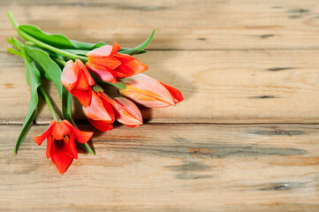 wooden background with tiny red tulips