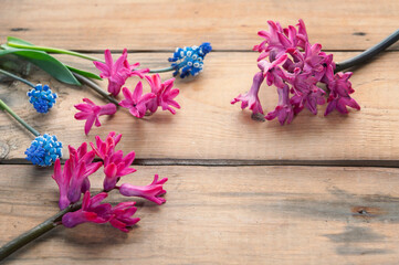 Obraz na płótnie Canvas wooden background with hyacinths
