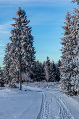 Obraz premium Erste Winterwanderung auf dem Rennsteig bei schönstem Sonnenuntergang - Deutschland