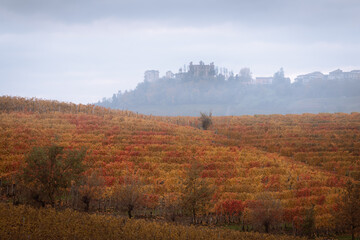 Beautiful autumn landscape of vineyard in Novello, Langhe, Italy - obrazy, fototapety, plakaty