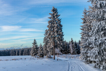 Erste Winterwanderung auf dem Rennsteig bei schönstem Sonnenuntergang - Deutschland