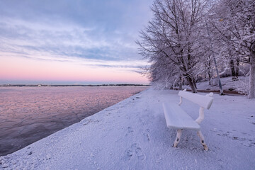 winter landscape with snow