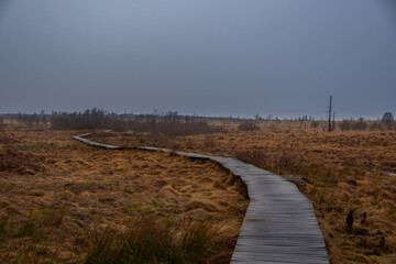 Wooden walkways lead through the moorland in the nature reserve 