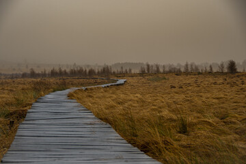 Wooden walkways lead through the moorland in the nature reserve 