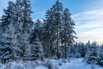 Erste Winterwanderung auf dem Rennsteig bei schönstem Sonnenuntergang - Deutschland