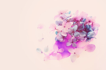 Creative image of pink and turquoise Hydrangea flowers on artistic ink background. Top view with copy space