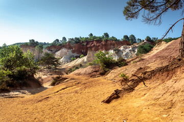 Colorado Proven&ccedil;al
