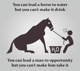 You can lead a horse to water but you can't make it drink © McChoby