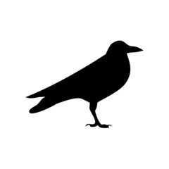 Black silhouette of rook isolated on white background