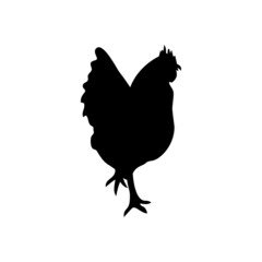 Black silhouette of rooster isolated on white background