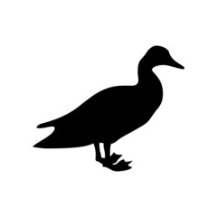 Black silhouette of duck isolated on white background