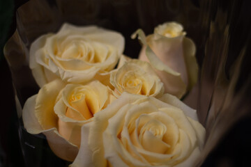 white roses bouquet tenderness birthday
