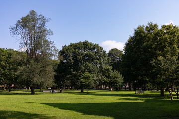 New Haven Green during the Summer in Downtown New Haven Connecticut