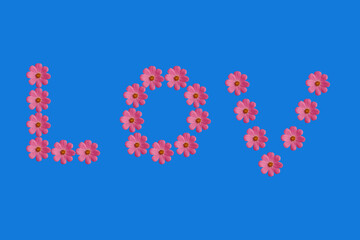 Love written from pink flowers. Isolated on a blue background.