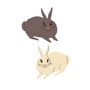 Flat illustration of bunnies isolated on whte background