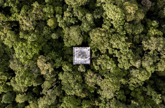 aerial image with drone of the amazon forest and manaus in amazonas brazil