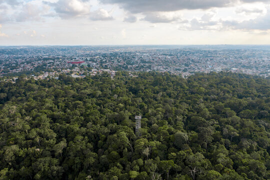aerial image with drone of the amazon forest and manaus in amazonas brazil