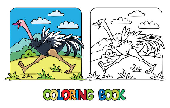 Funny ostrich. Farm animals coloring book series