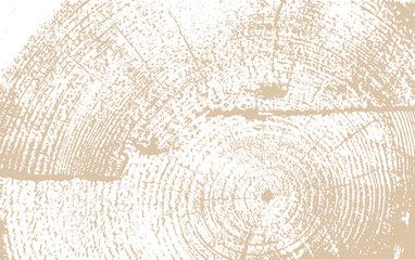 circular wooden board texture vector illustration background