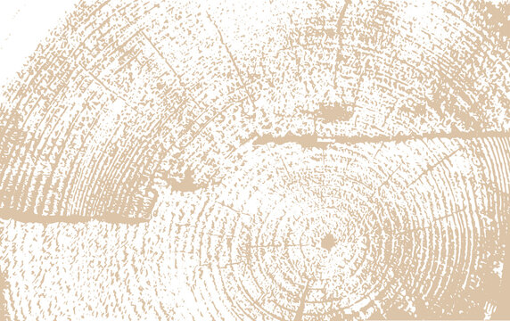 circular wooden board texture vector illustration background