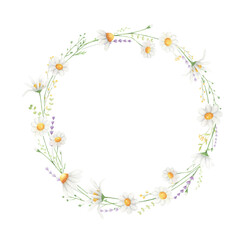 Daisy watercolor wreath isolated on white background.  Wildflowers frame for greeting cards, wedding invitations. 