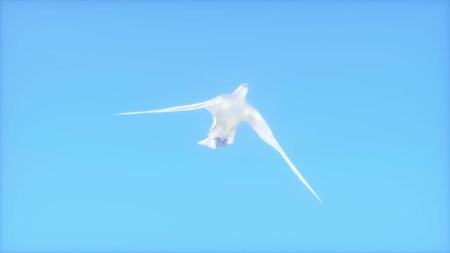 fly white dove on blue heaven background render 3d