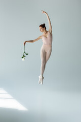 full length of elegant ballerina in bodysuit holding rose and levitating with raised hand on grey - obrazy, fototapety, plakaty