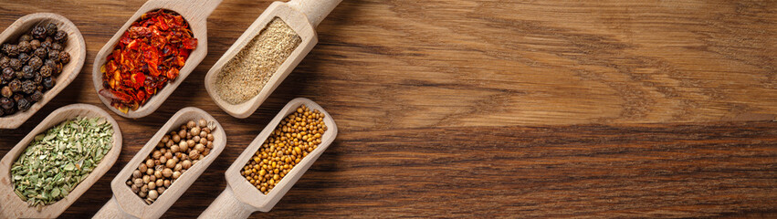 Various spices in wooden scoops with copy space banner panoramic