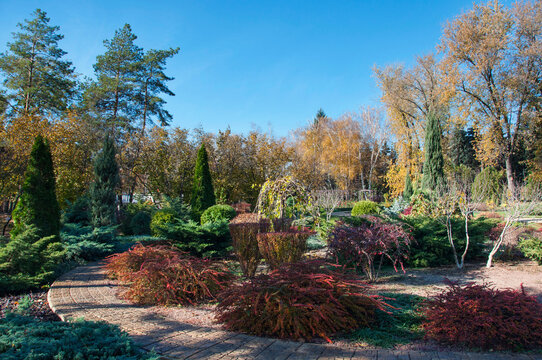 colorful trees and shrubs in autumn park