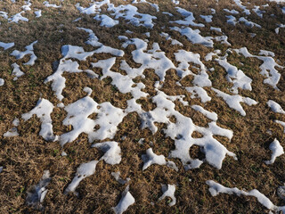 snow melting on grass