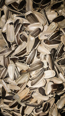 background with heap of sunflower seeds