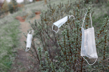 white medical masks on the branches of bushes. in nature, the waste was blown away by the wind